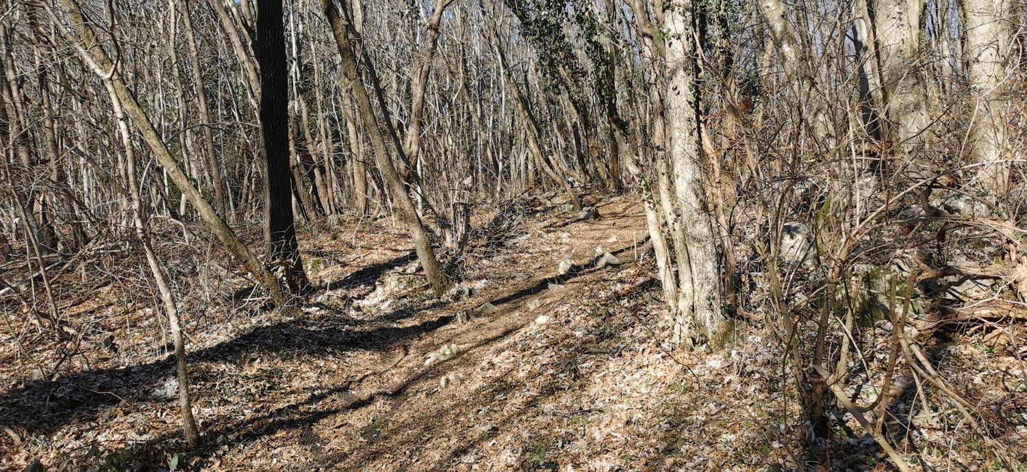 Parkirišče Lovska koča Dobrovo - Planinsko zavetišče na Koradi slika 14
