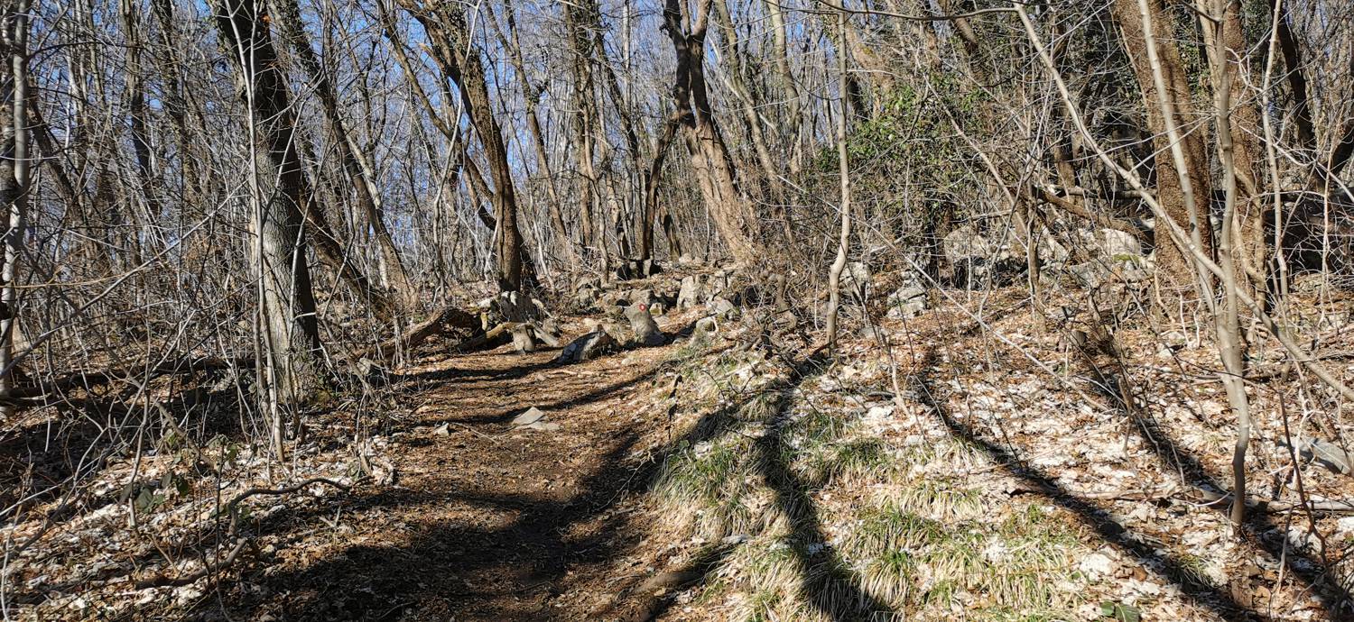 Parkirišče Lovska koča Dobrovo - Planinsko zavetišče na Koradi slika 13