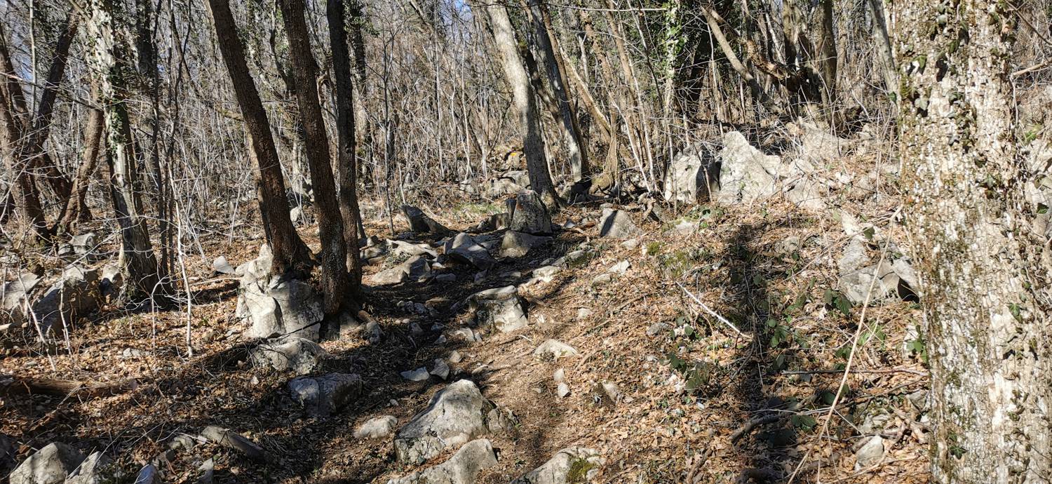Parkirišče Lovska koča Dobrovo - Planinsko zavetišče na Koradi slika 12