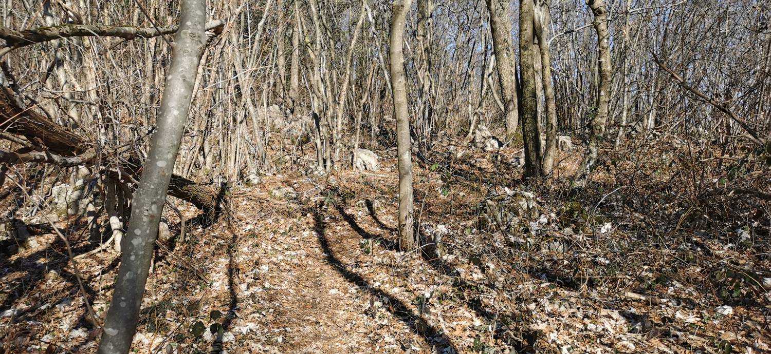 Parkirišče Lovska koča Dobrovo - Planinsko zavetišče na Koradi slika 11