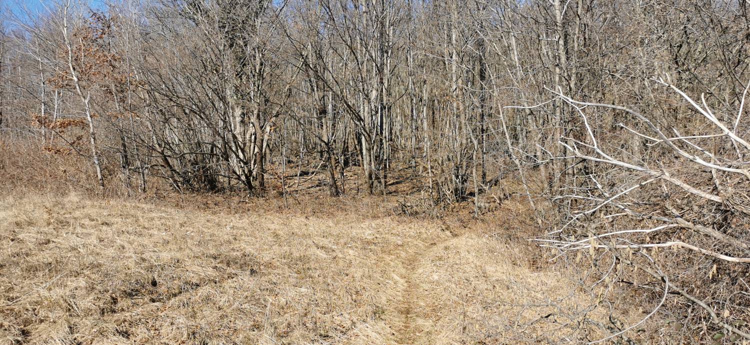 Parkirišče Lovska koča Dobrovo - Planinsko zavetišče na Koradi slika 10