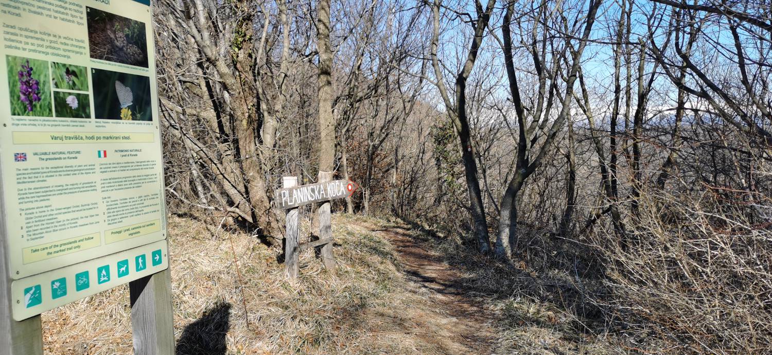 Parkirišče Lovska koča Dobrovo - Planinsko zavetišče na Koradi slika 9