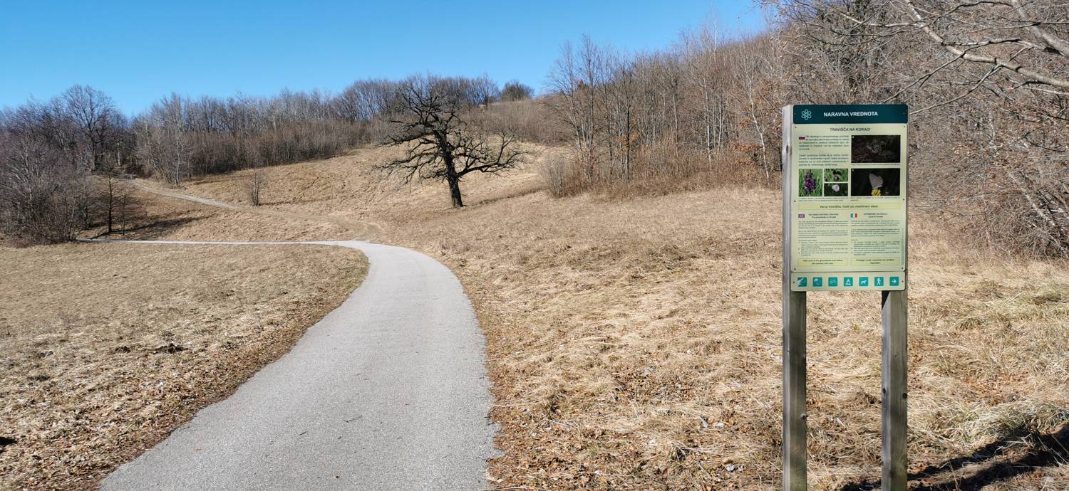 Parkirišče Lovska koča Dobrovo - Planinsko zavetišče na Koradi slika 8