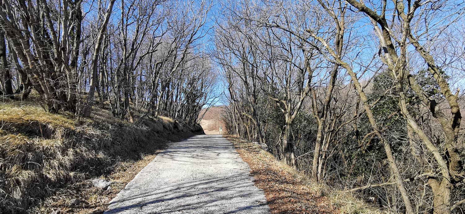 Parkirišče Lovska koča Dobrovo - Planinsko zavetišče na Koradi slika 6