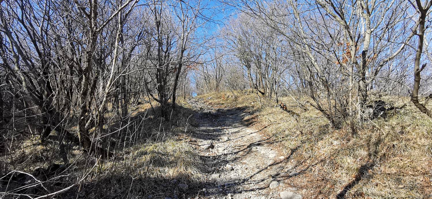 Parkirišče Lovska koča Dobrovo - Planinsko zavetišče na Koradi slika 5