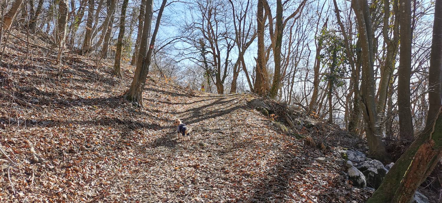 Parkirišče pod Sv. Jakobom - Sveti Jakob (pot treh svetišč) slika 14