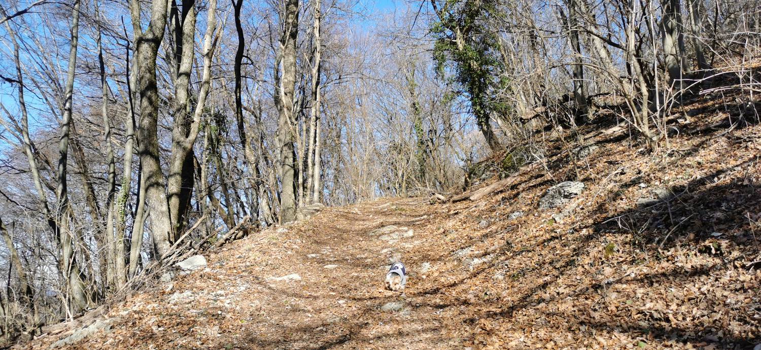 Parkirišče pod Sv. Jakobom - Sveti Jakob (pot treh svetišč) slika 17