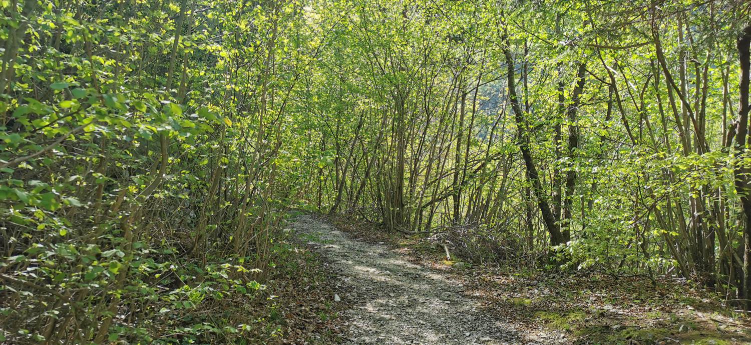 Podklopca (Hotel Boka) - Slap Virje slika 12