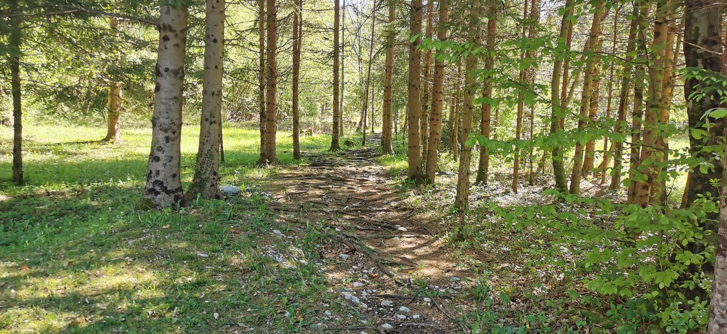 Podklopca (Hotel Boka) - Slap Virje slika 26