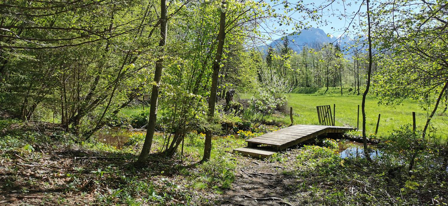 Podklopca (Hotel Boka) - Slap Virje slika 28