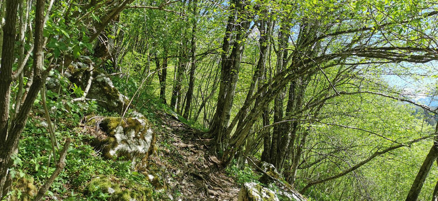 Podklopca (Hotel Boka) - Slap Virje slika 39