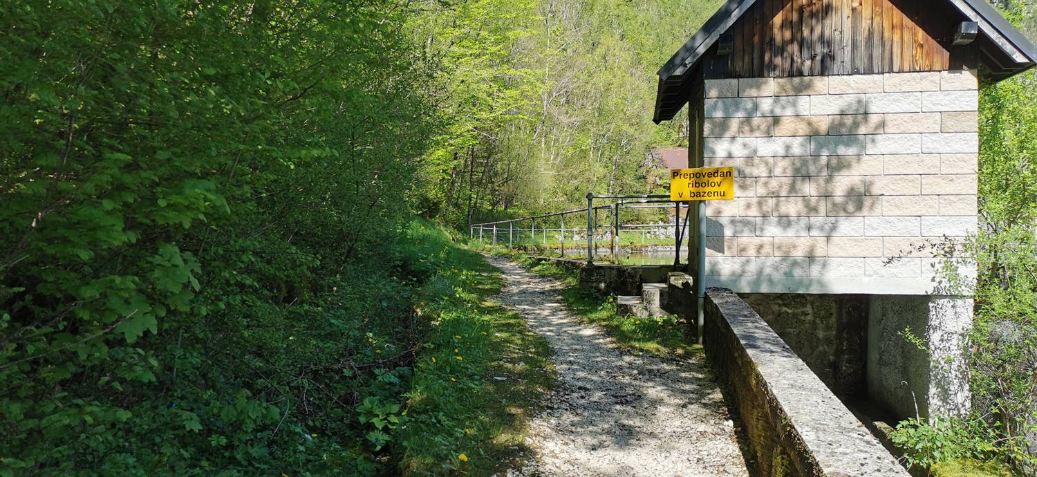 Podklopca (Hotel Boka) - Slap Virje slika 50