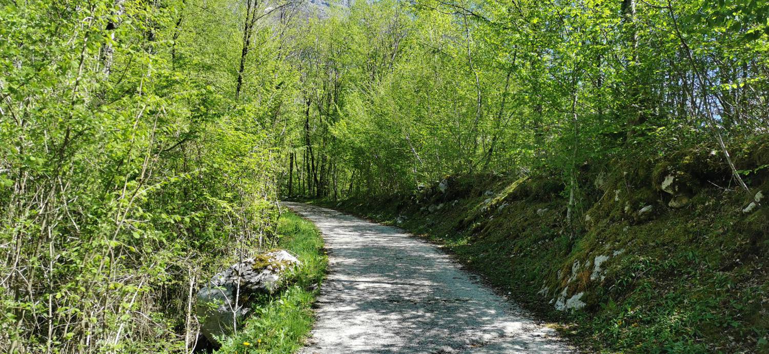 Podklopca (Hotel Boka) - Slap Virje slika 54