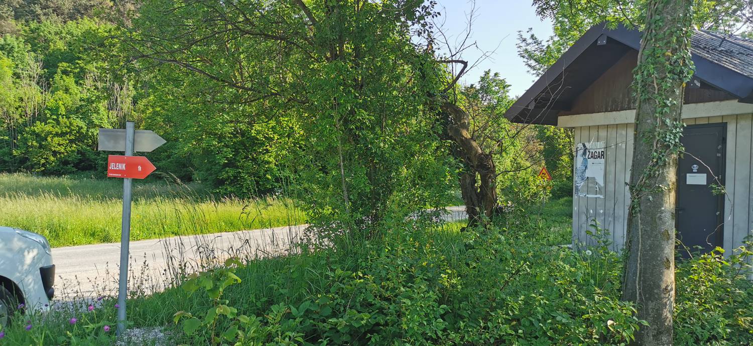 Bate - Jelenik slika 2