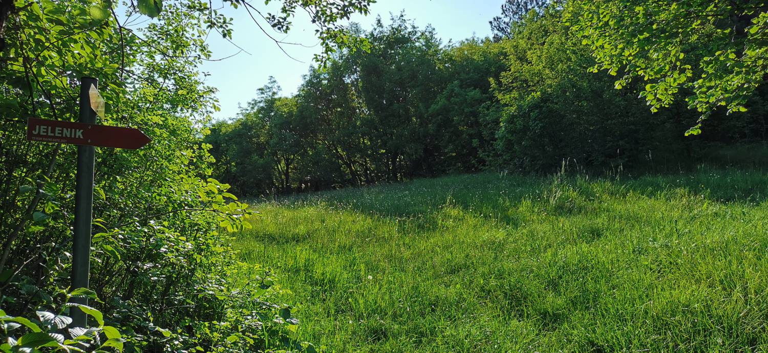Bate - Jelenik slika 28