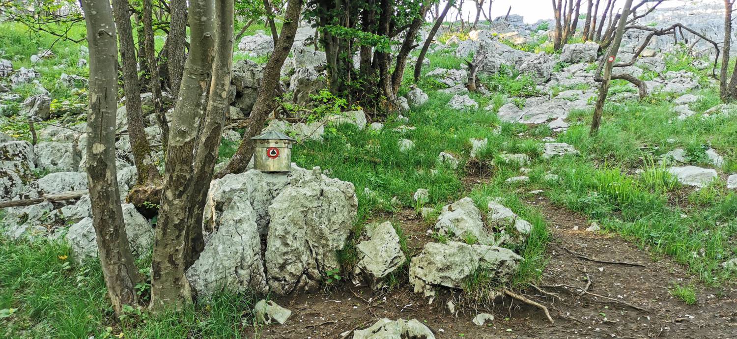 Bate - Jelenik slika 36