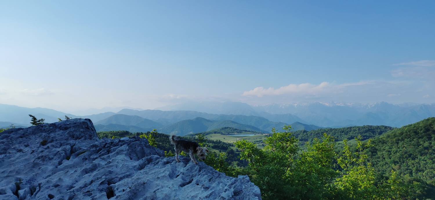 Bate - Jelenik slika 39