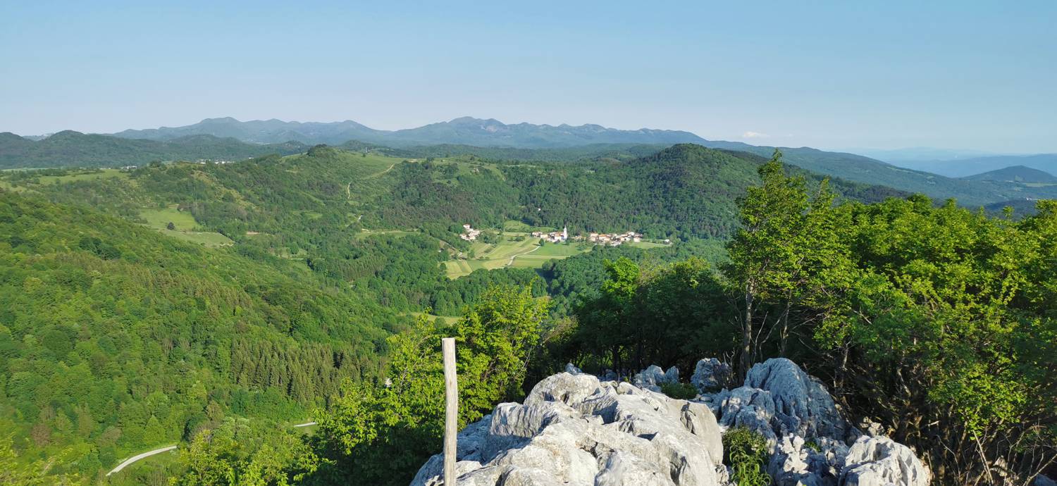 Bate - Jelenik slika 41