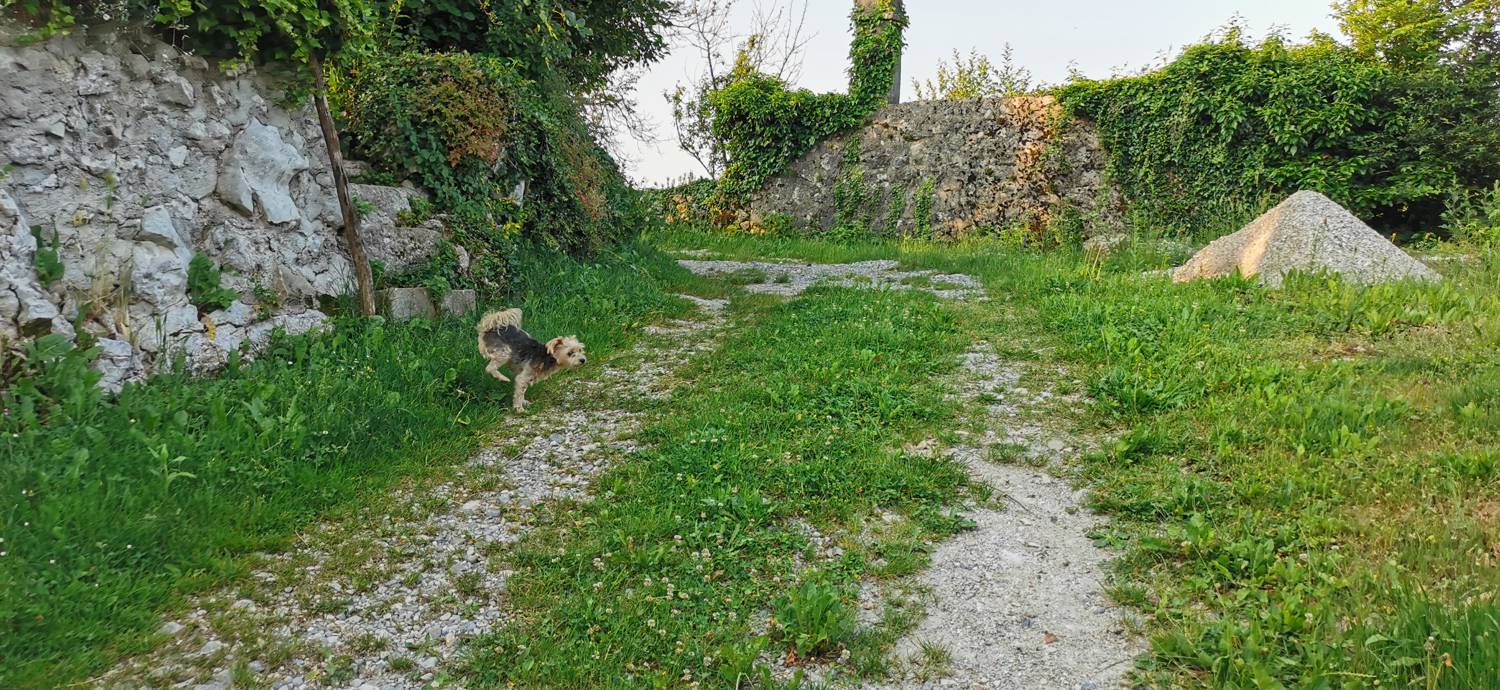 Grgarske Ravne - Sveti Lovrenc (nad Grgarskimi Ravnami) slika 7