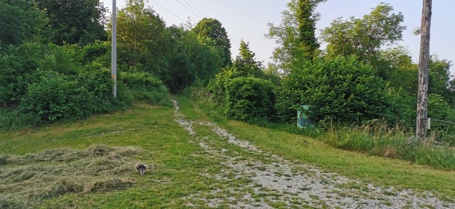 Grgarske Ravne - Sveti Lovrenc (nad Grgarskimi Ravnami) slika 9