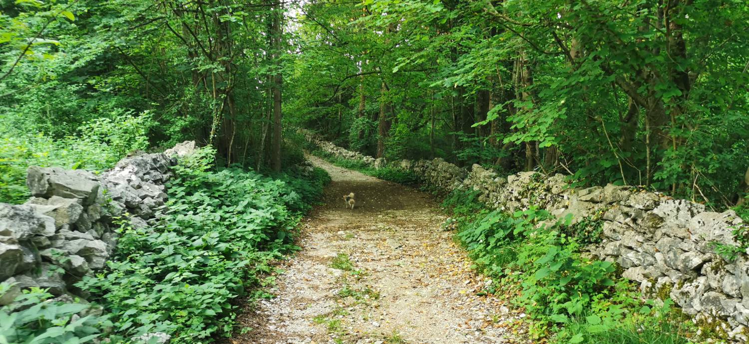 Grgarske Ravne - Grgarske Ravne slika 8