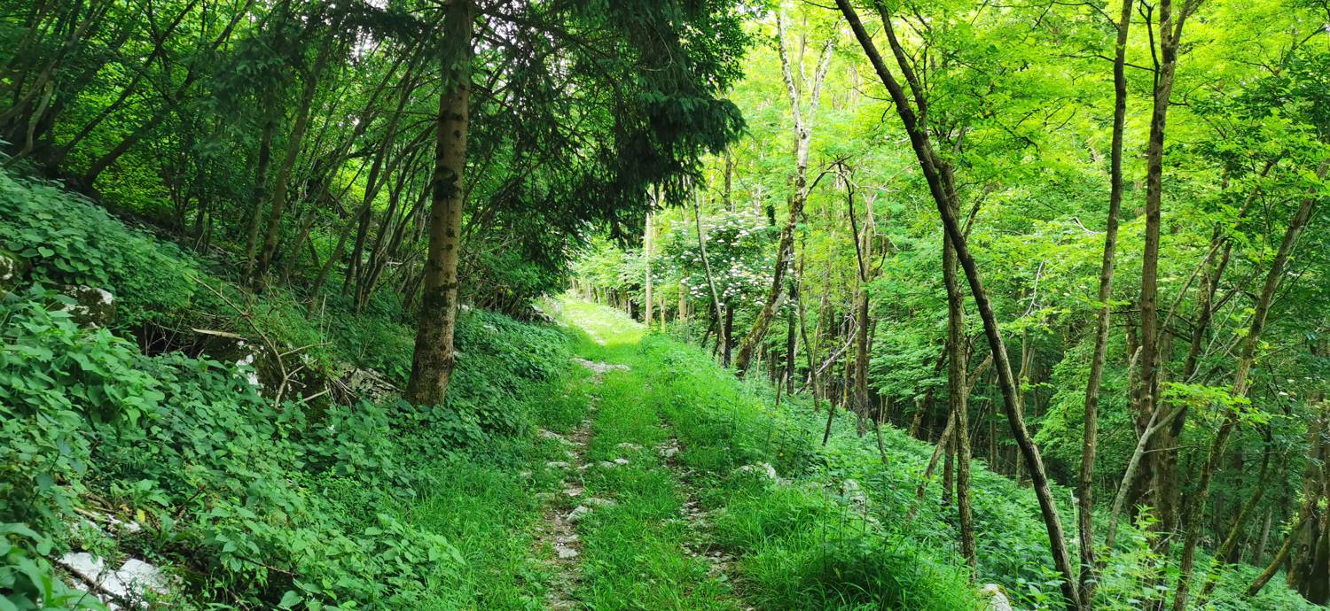 Grgarske Ravne - Sveti Lovrenc (nad Grgarskimi Ravnami) slika 11