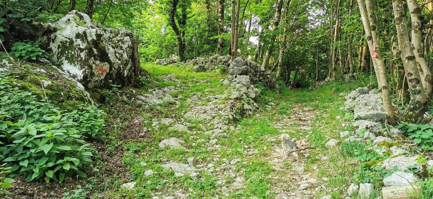 Grgarske Ravne - Grgarske Ravne slika 10