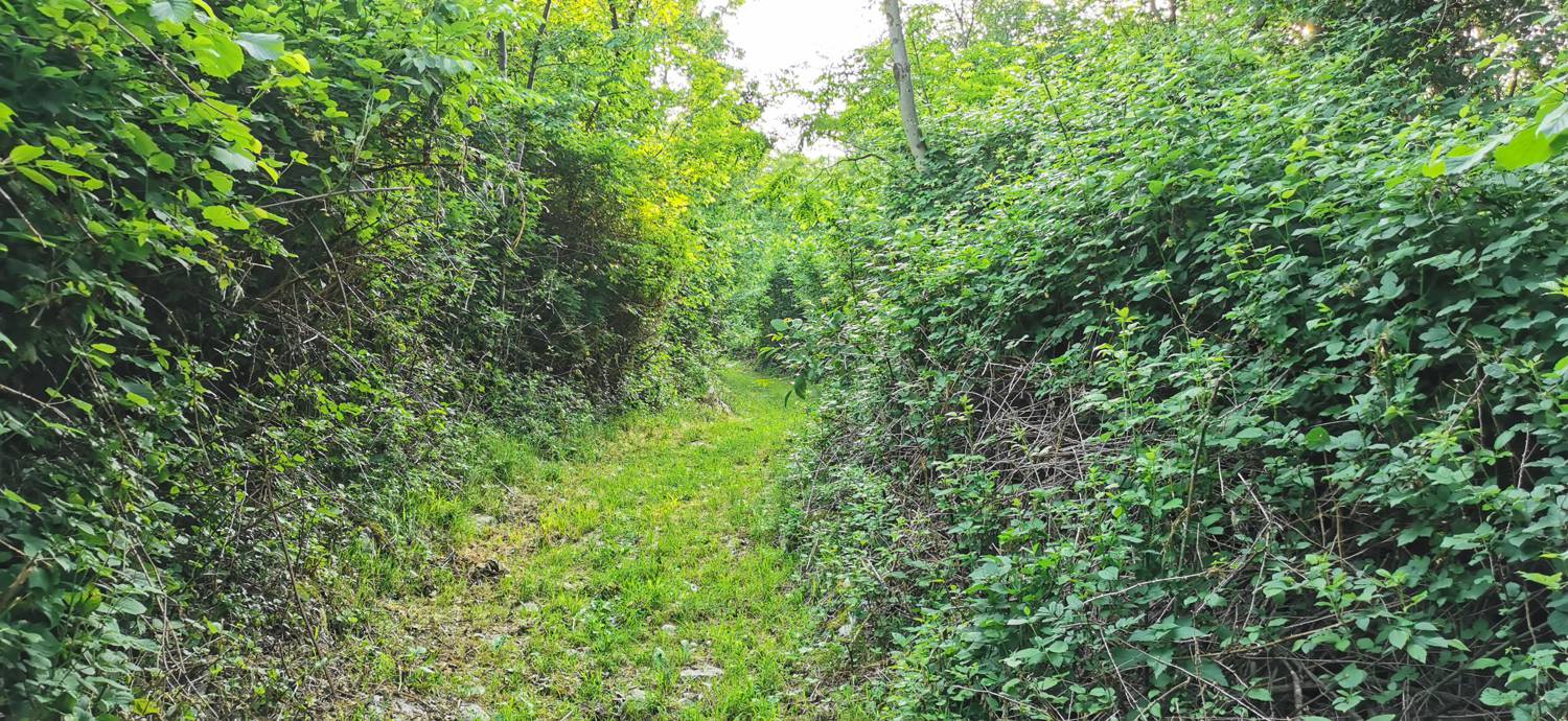 Grgarske Ravne - Sveti Lovrenc (nad Grgarskimi Ravnami) slika 13