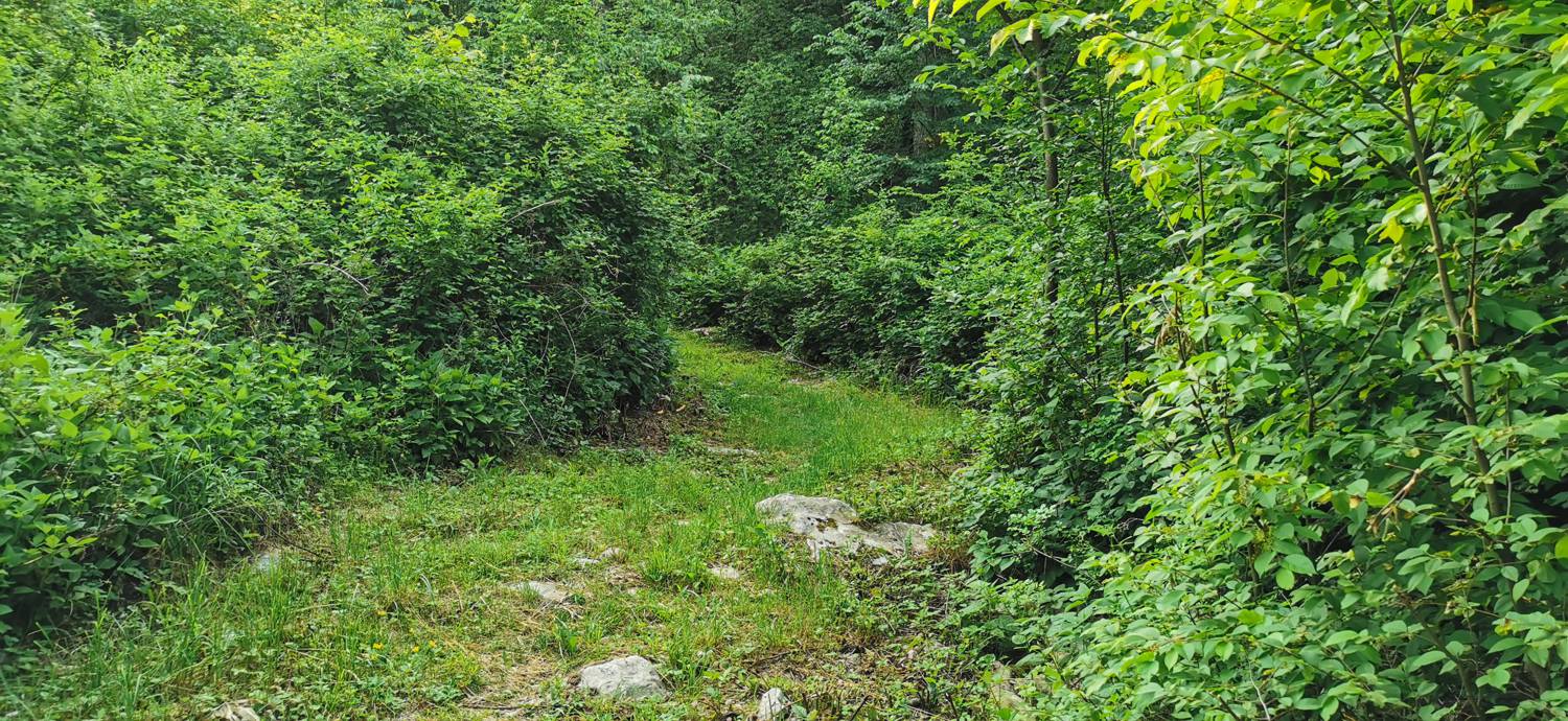 Grgarske Ravne - Sveti Lovrenc (nad Grgarskimi Ravnami) slika 14