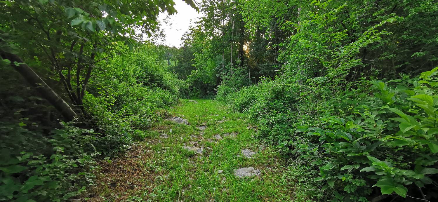 Grgarske Ravne - Sveti Lovrenc (nad Grgarskimi Ravnami) slika 15