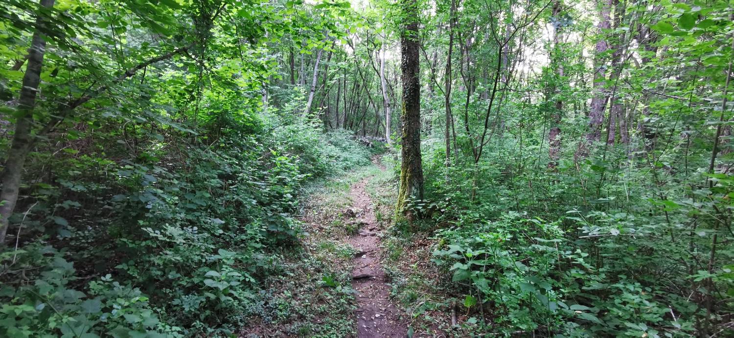 Grgarske Ravne - Sveti Lovrenc (nad Grgarskimi Ravnami) slika 17