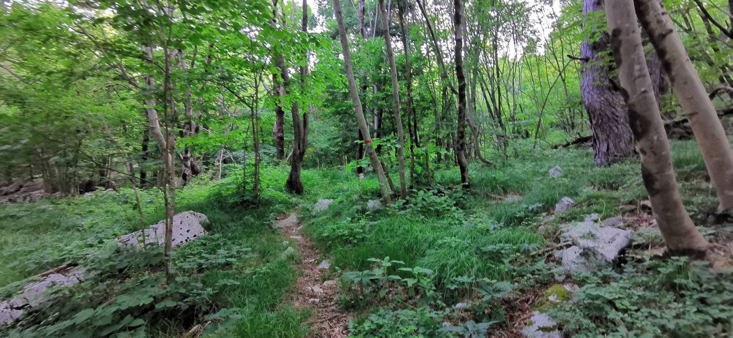 Grgarske Ravne - Sveti Lovrenc (nad Grgarskimi Ravnami) slika 19
