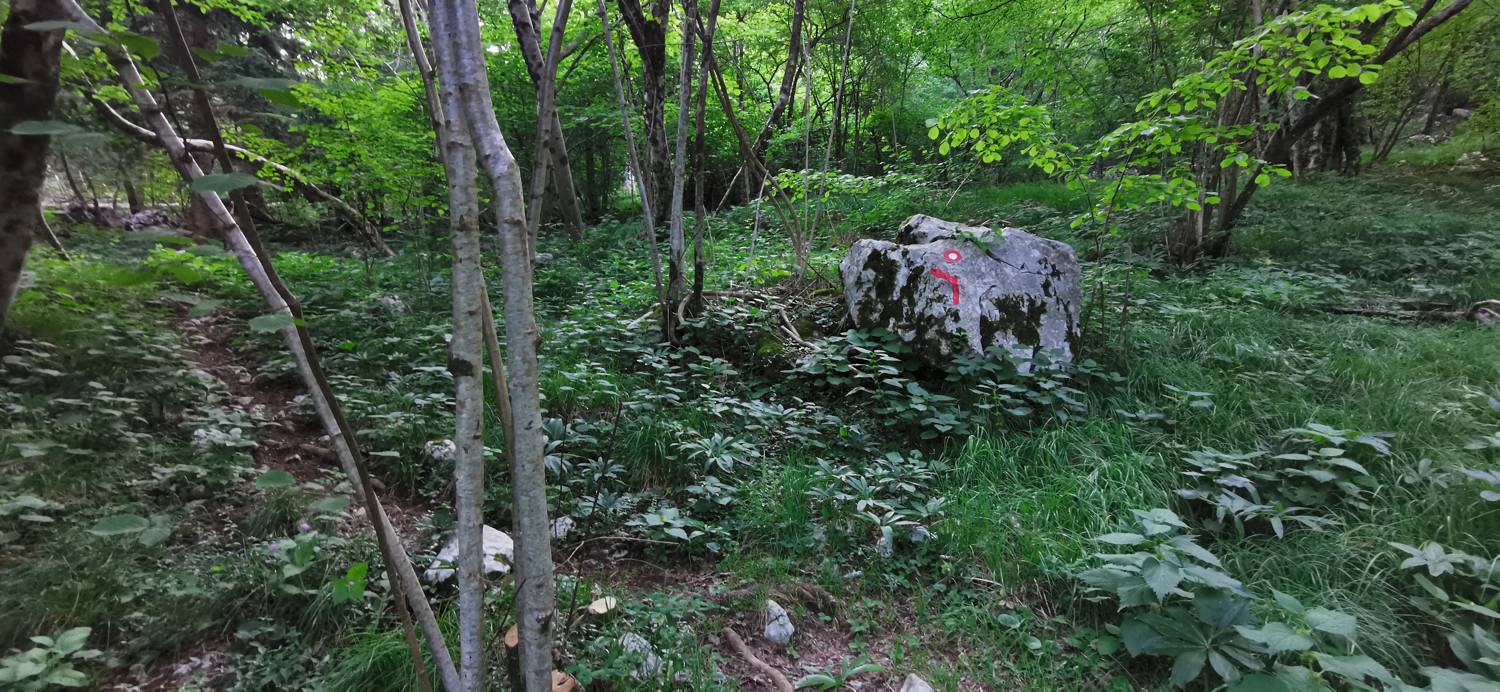 Grgarske Ravne - Sveti Lovrenc (nad Grgarskimi Ravnami) slika 21