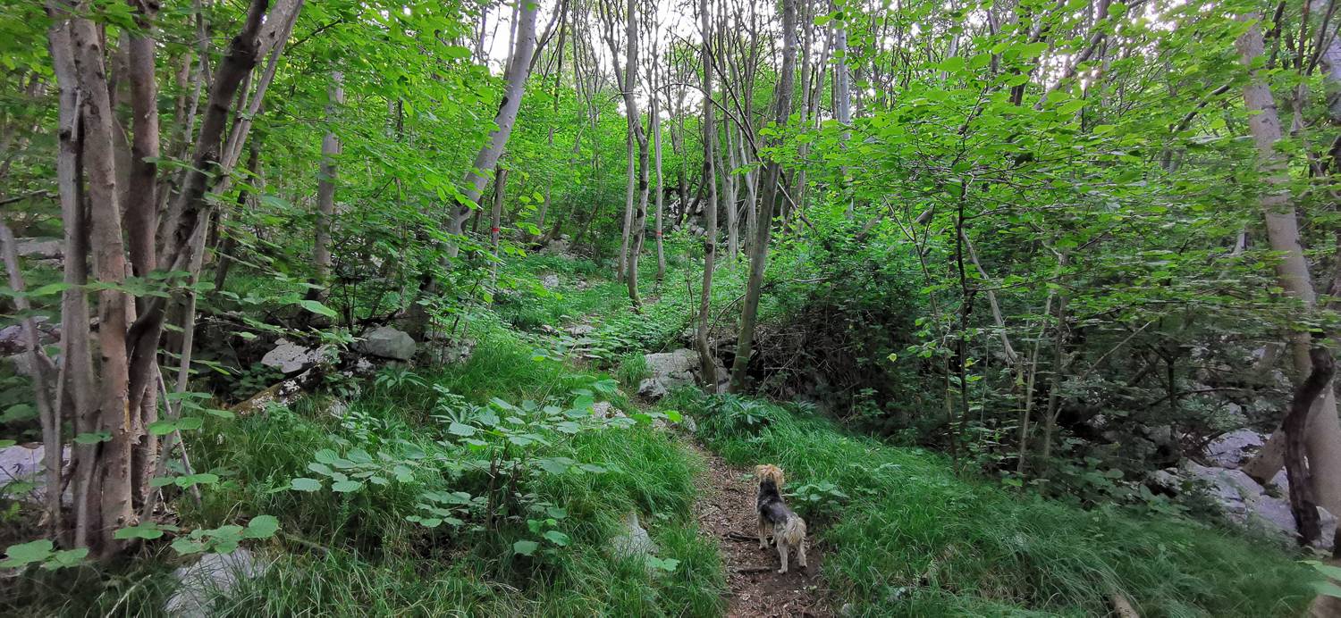 Grgarske Ravne - Sveti Lovrenc (nad Grgarskimi Ravnami) slika 22