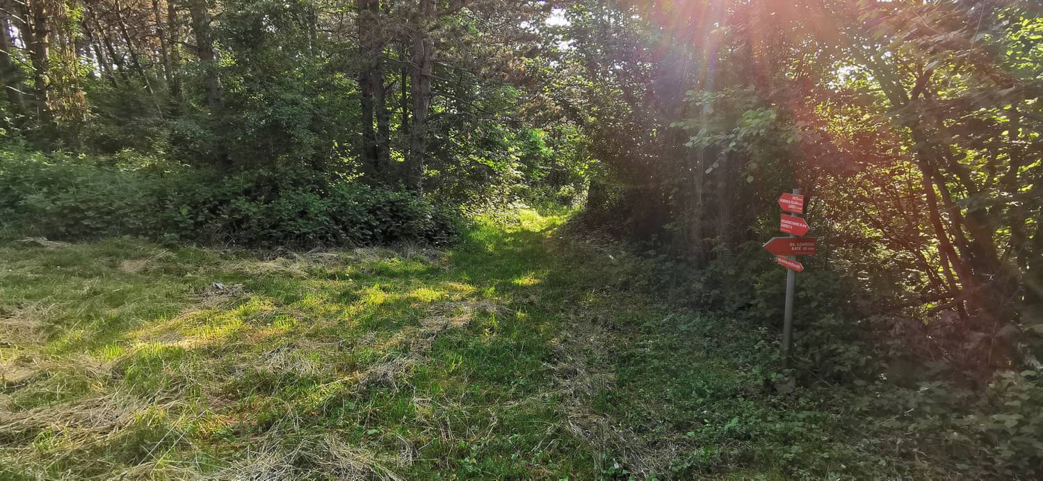 Grgarske Ravne - Sveti Lovrenc (nad Grgarskimi Ravnami) slika 29