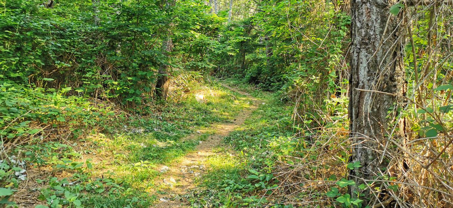 Grgarske Ravne - Sveti Lovrenc (nad Grgarskimi Ravnami) slika 31