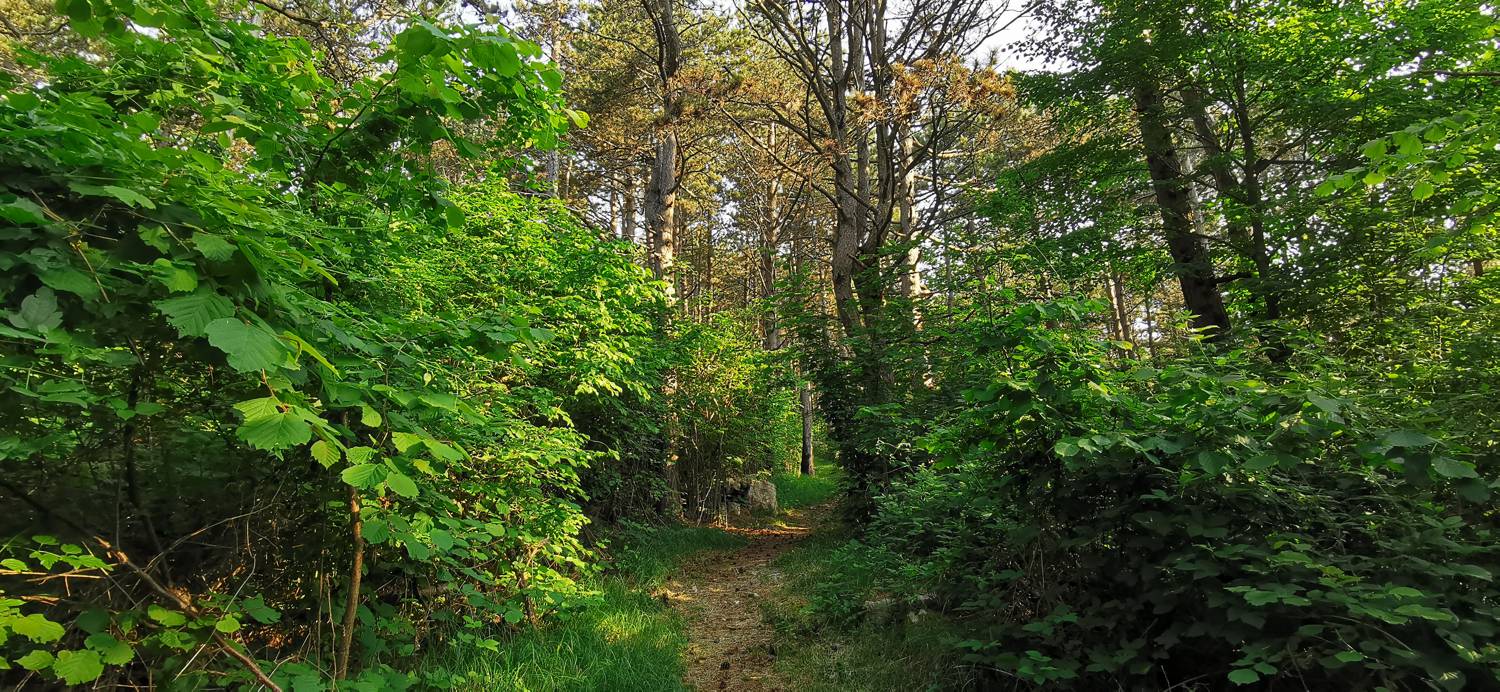Grgarske Ravne - Sveti Lovrenc (nad Grgarskimi Ravnami) slika 32