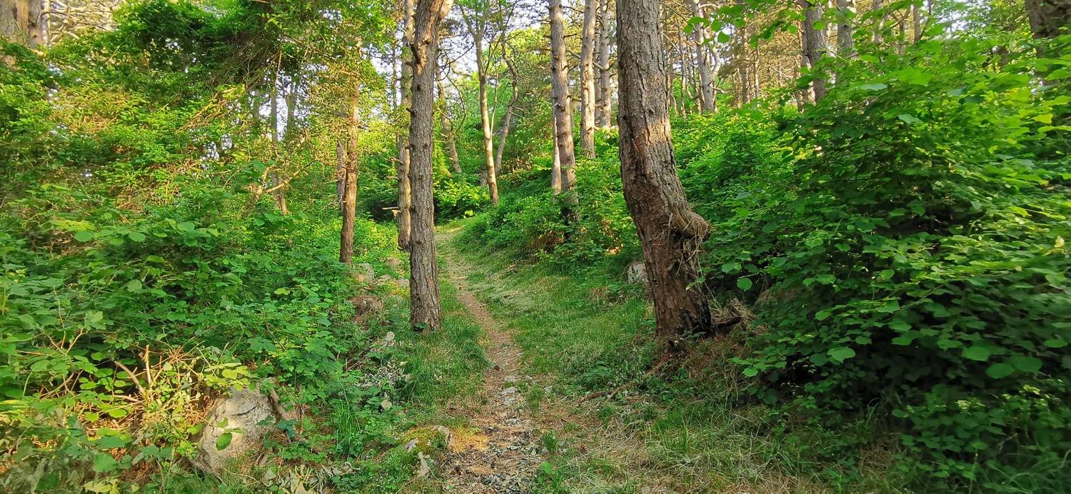 Grgarske Ravne - Sveti Lovrenc (nad Grgarskimi Ravnami) slika 33