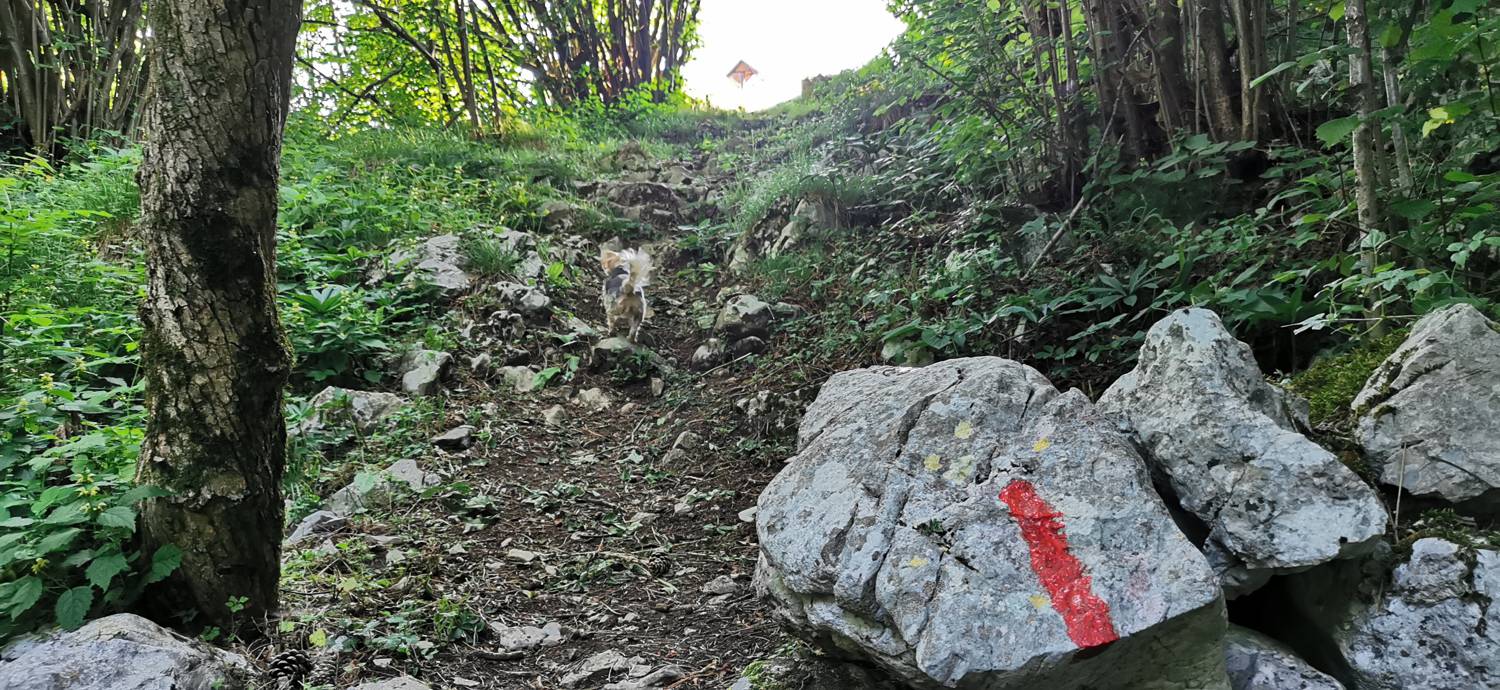 Grgarske Ravne - Grgarske Ravne slika 24