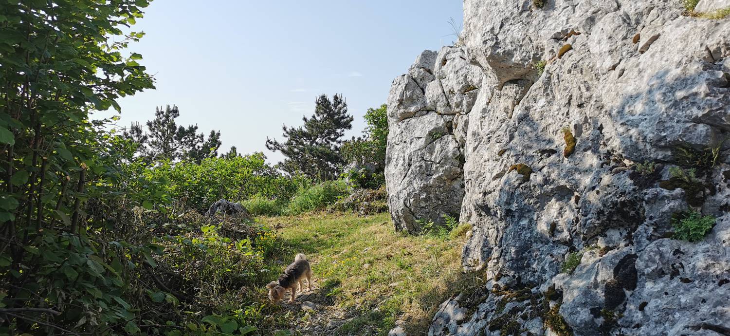 Grgarske Ravne - Sveti Lovrenc (nad Grgarskimi Ravnami) slika 41