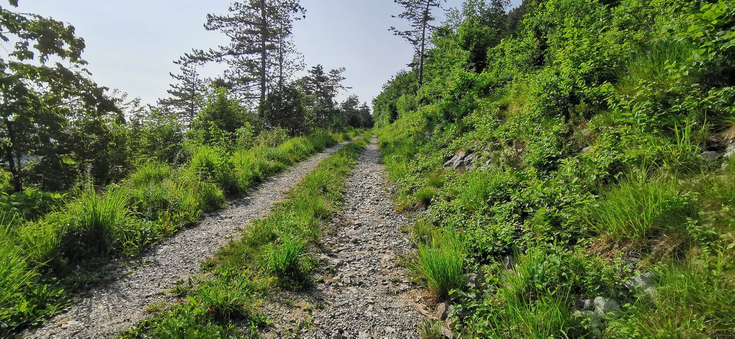 Grgarske Ravne - Grgarske Ravne slika 39