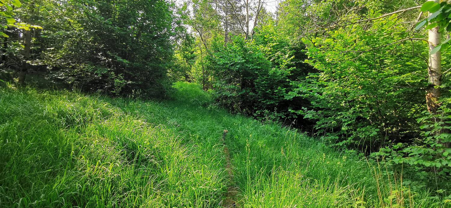 Grgarske Ravne - Grgarske Ravne slika 43