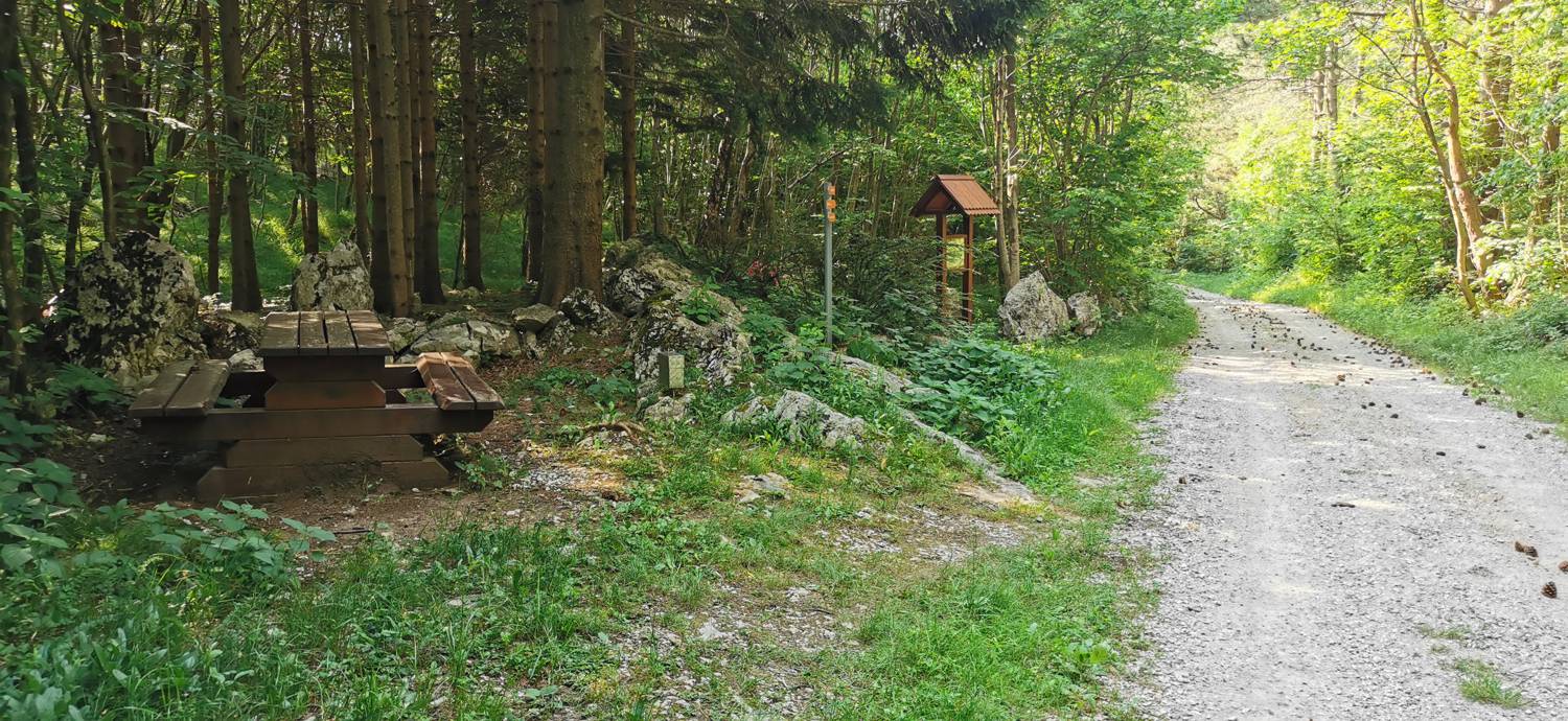Grgarske Ravne - Grgarske Ravne slika 47