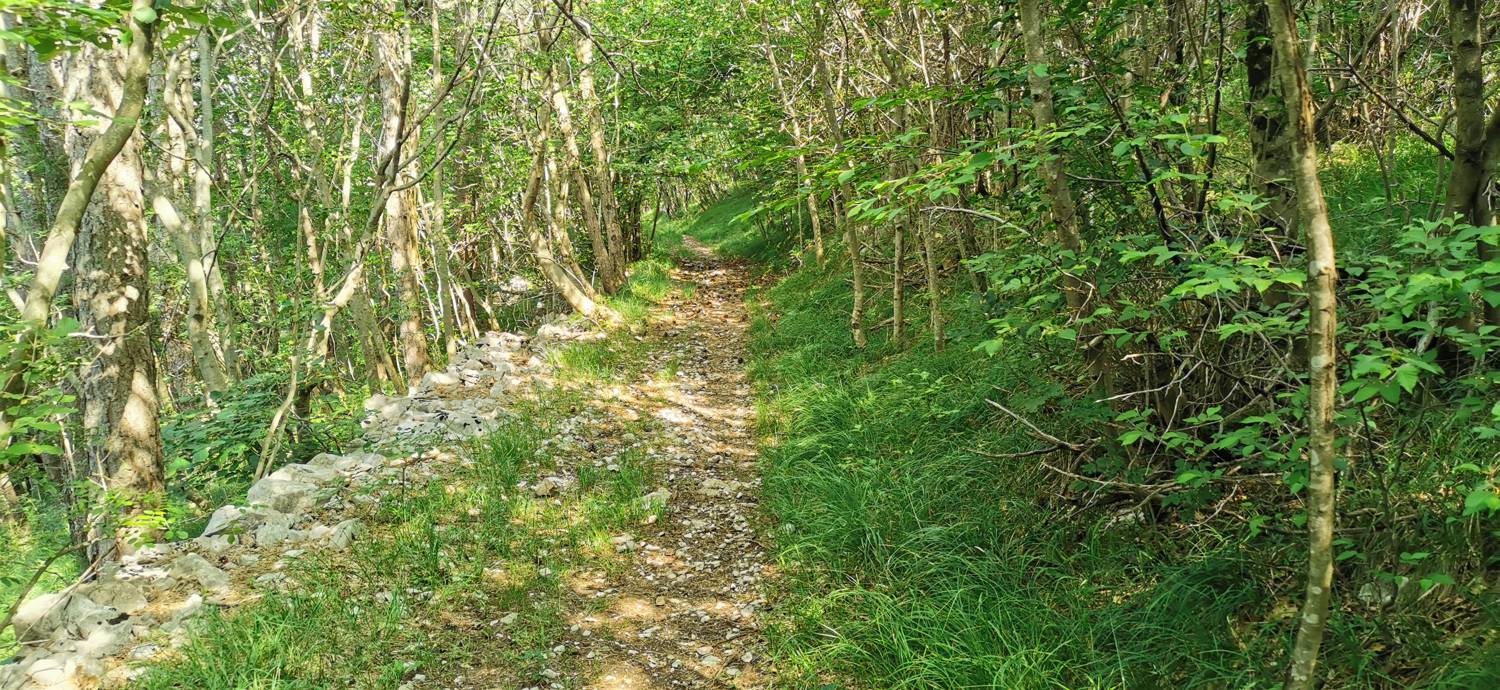 Grgarske Ravne - Grgarske Ravne slika 54