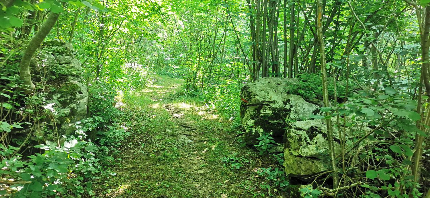 Grgarske Ravne - Grgarske Ravne slika 60