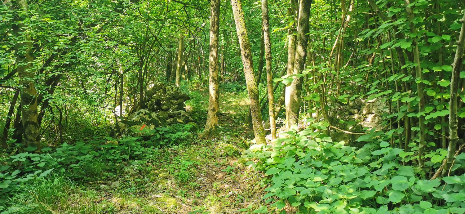 Grgarske Ravne - Grgarske Ravne slika 62