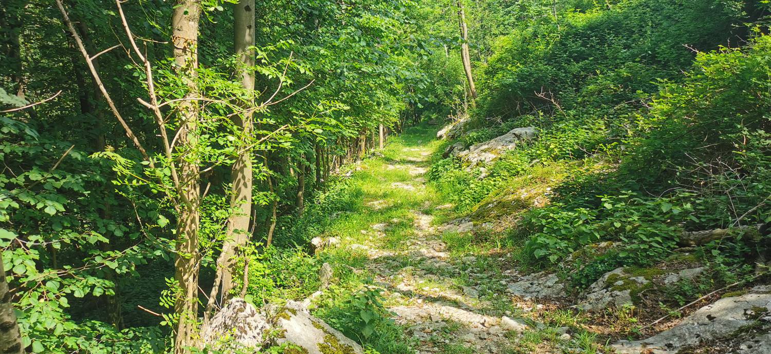 Grgarske Ravne - Grgarske Ravne slika 69