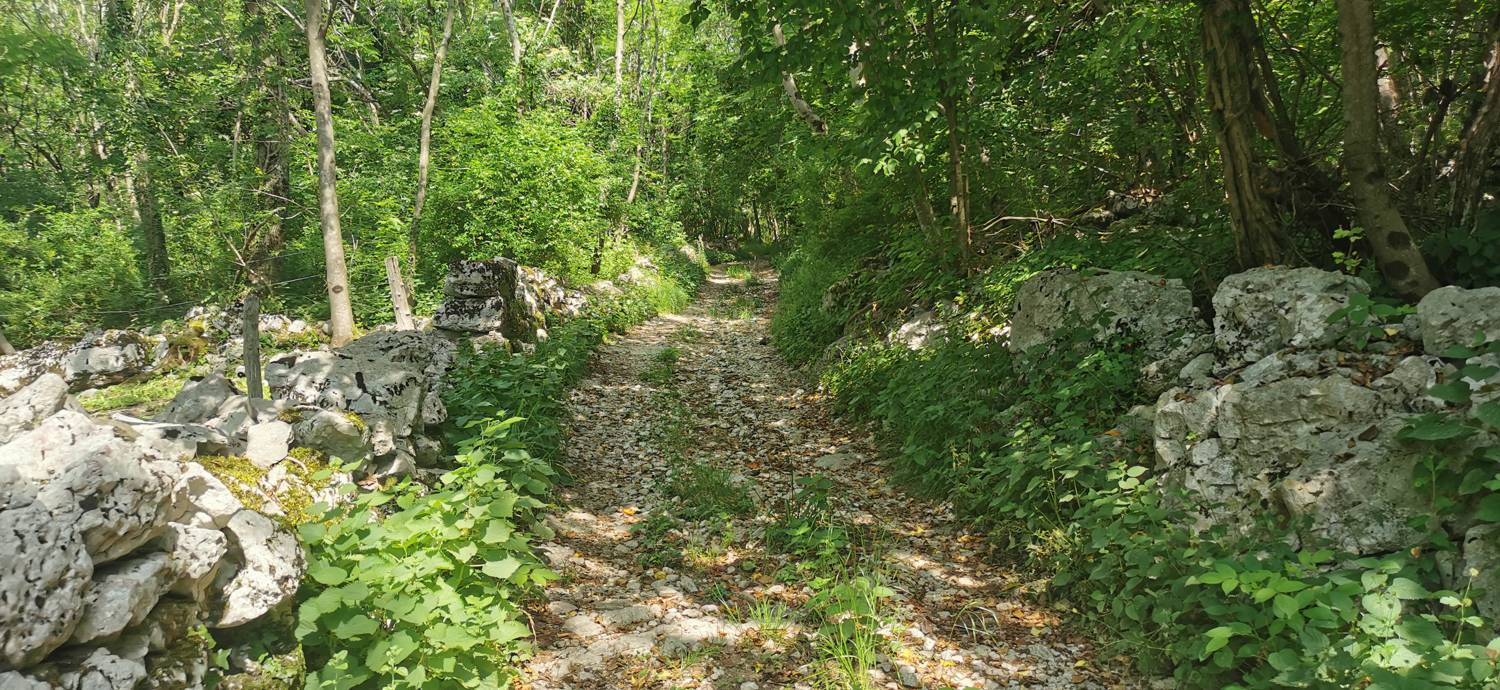 Grgarske Ravne - Grgarske Ravne slika 72