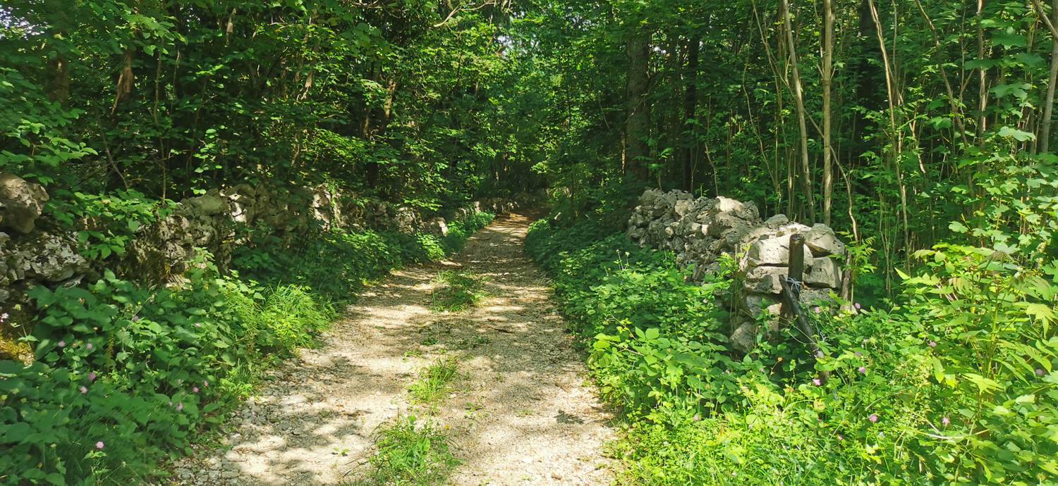 Grgarske Ravne - Grgarske Ravne slika 74