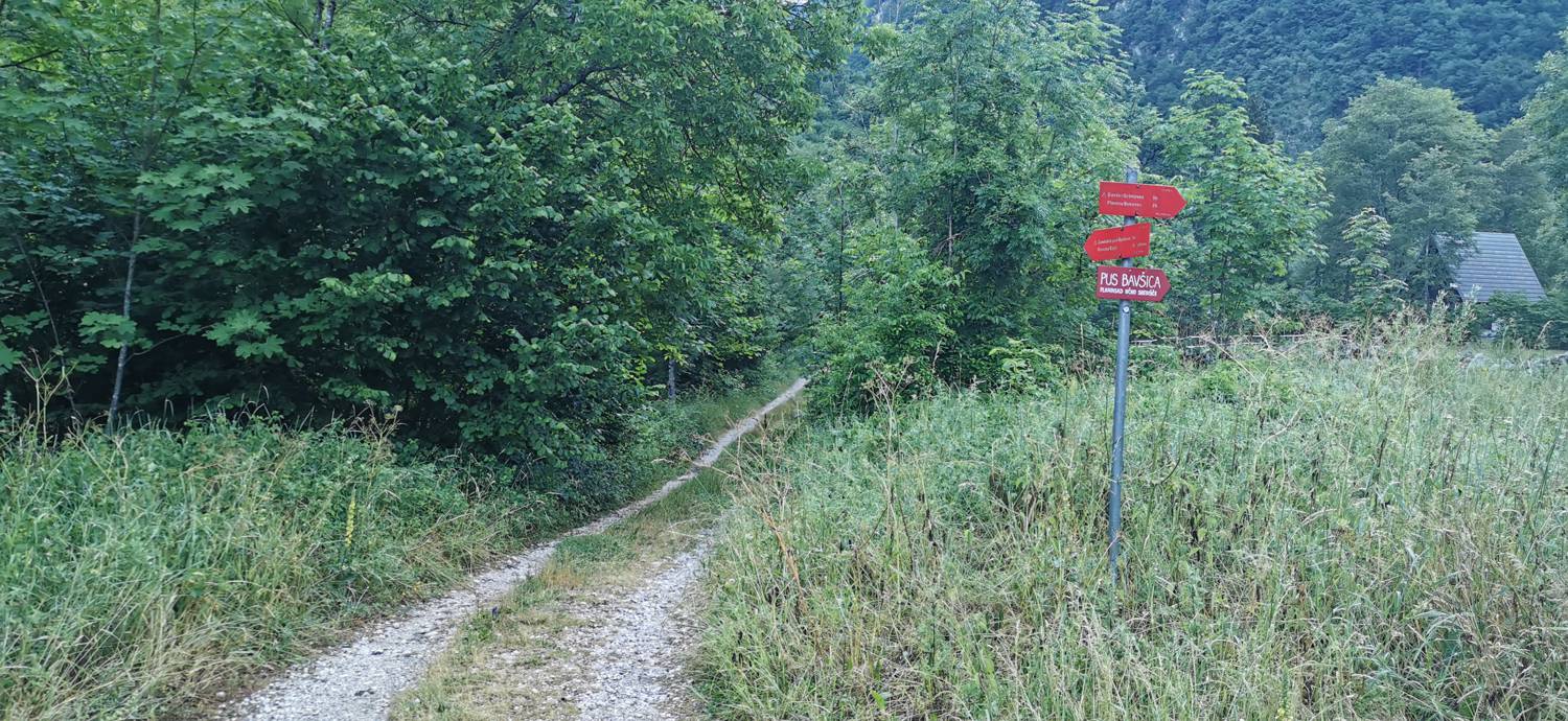Bavšica - Planina Bala slika 3